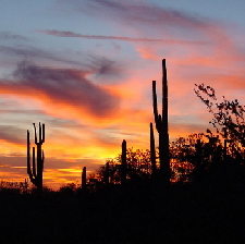 Arizona (TN) - Arizona to Spend $250,000 on PR to Stimulate Tourism Arizona (TN)